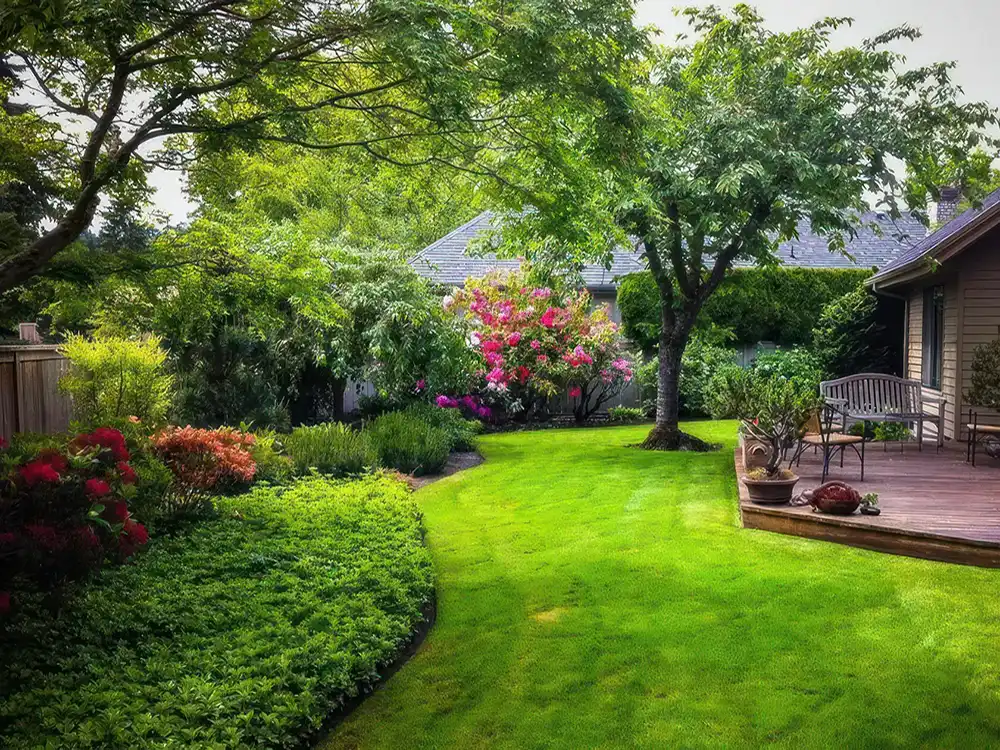 photo of a beautifully sculpted, hardscaped back yard