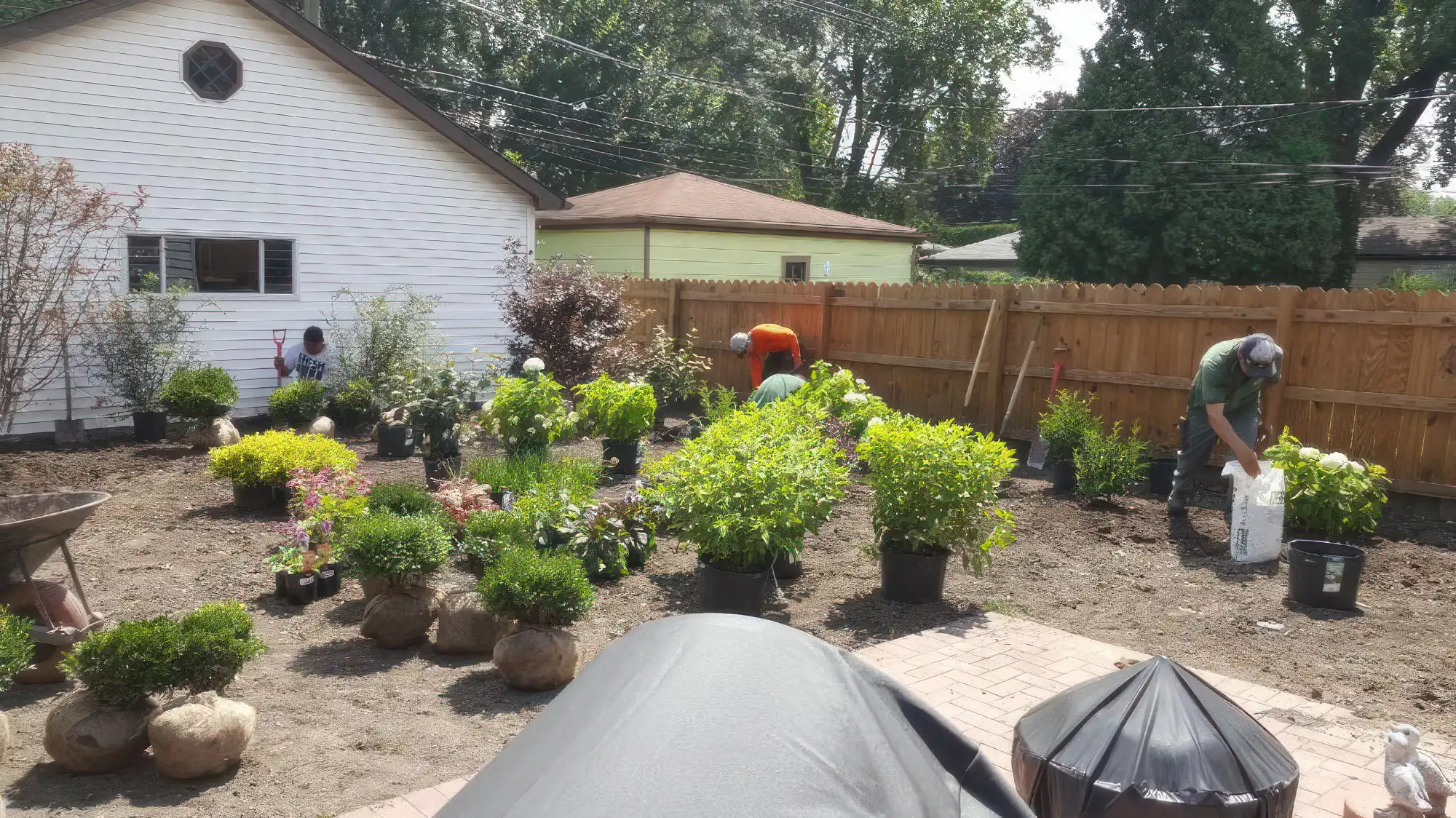Assortment of plants for landscaping design